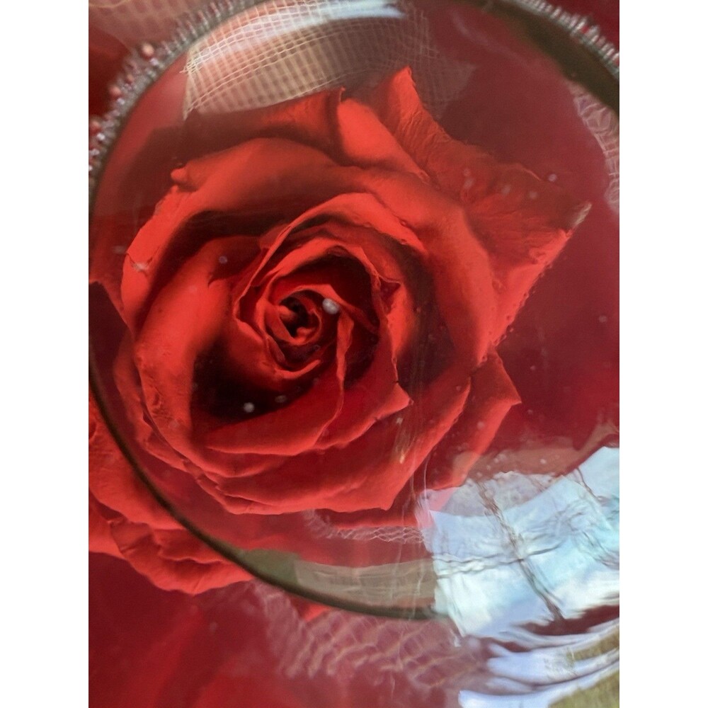 Vintage Forever Red Rose In Glass Ball Clear Water Dome Globe Large 6.5" - Picture 6 of 6